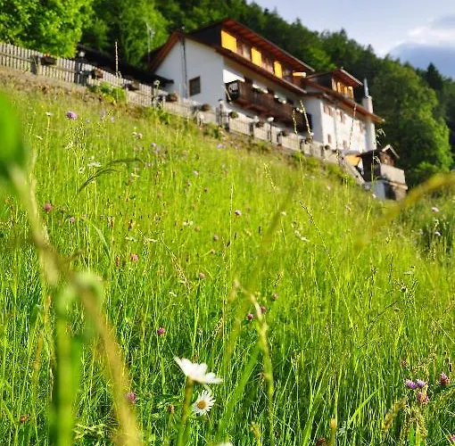 Hotel Bad St Isidor 2*