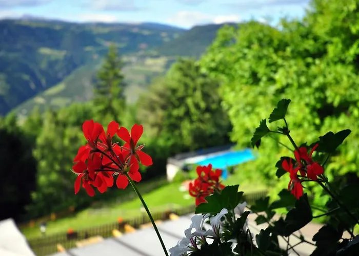 Bad St Isidor Hotel 2*